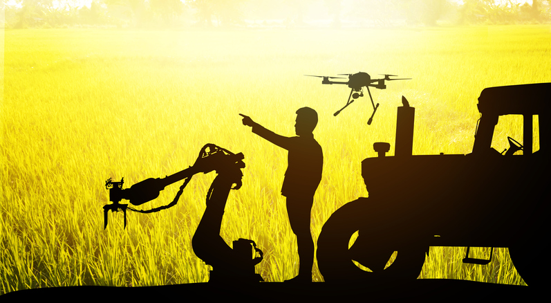5 New Machine Vision Applications in Agriculture