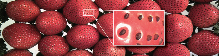 example of 250 MP Ultra High Resolution CMOS Sensor