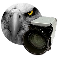 Sony Cameras