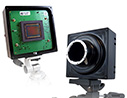 Product image of  Canon 120MXS 120 MP Sensor Evaluation Kit